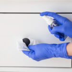 mold prevention services greenville