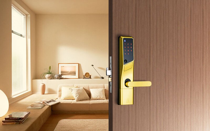 Access control locksmith